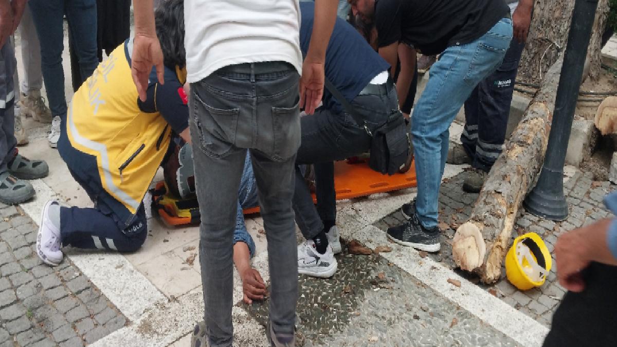 Mersin’de belediye işçisi budama sırasında 5 metreden düştü