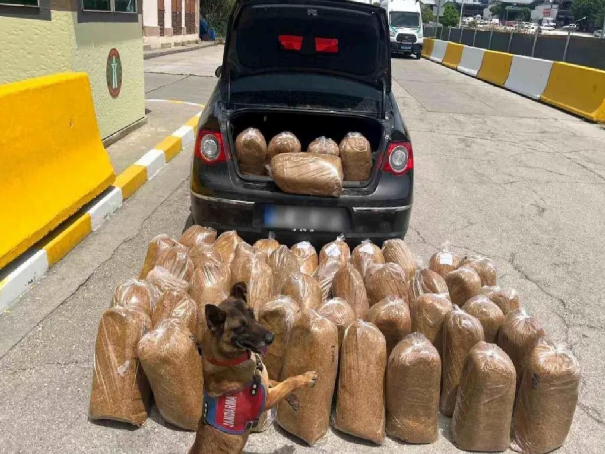 Mersin’de Kaçak Tütün ve Makaron Operasyonu