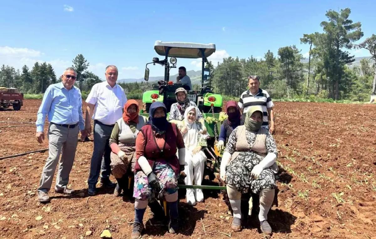Milletvekili Sema Silkin Ün, Anneler Günü’nü Tütün Tarlasında Kutladı