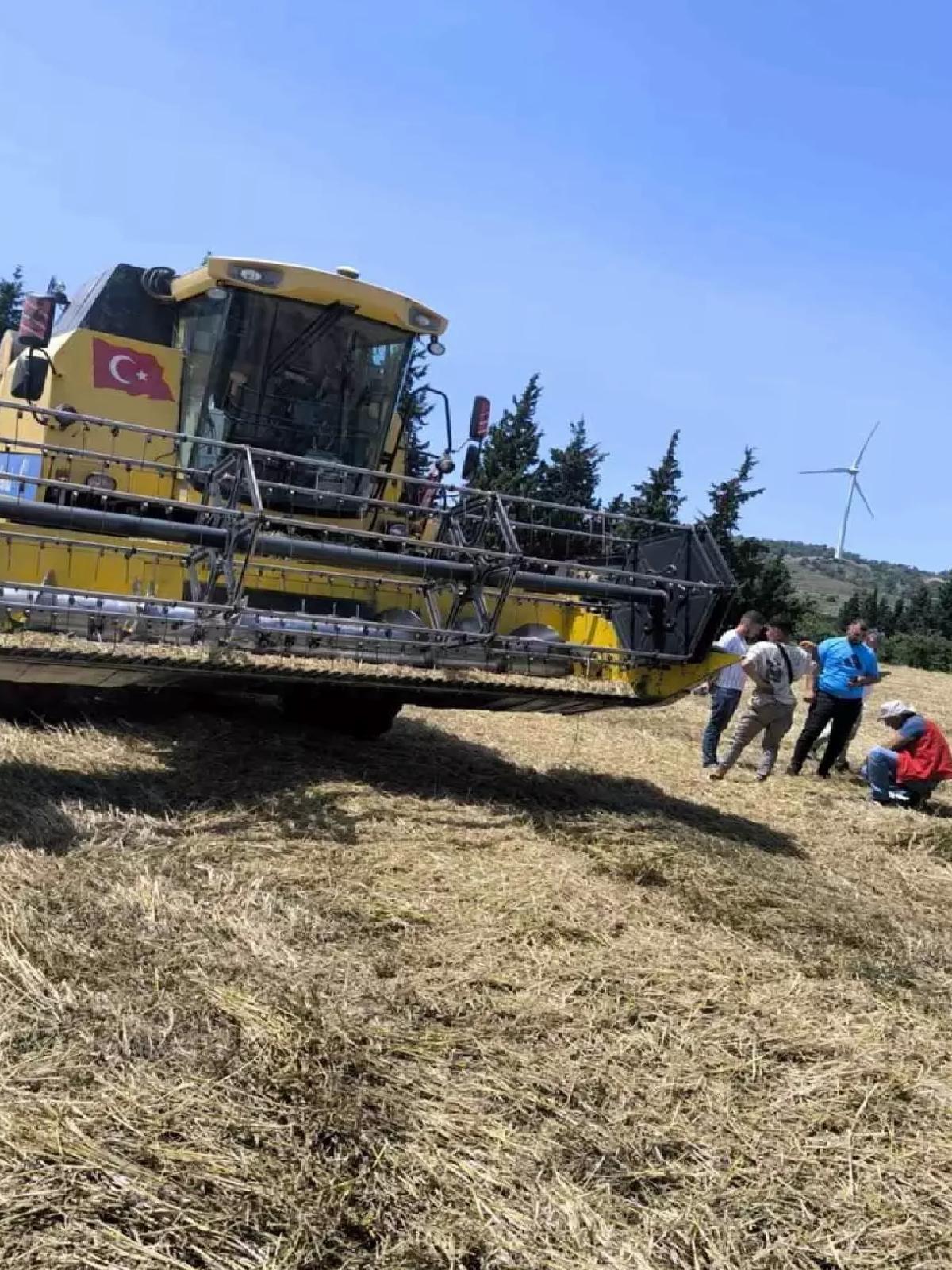 Muğla’da 2025 Hasat Sezonu Başladı