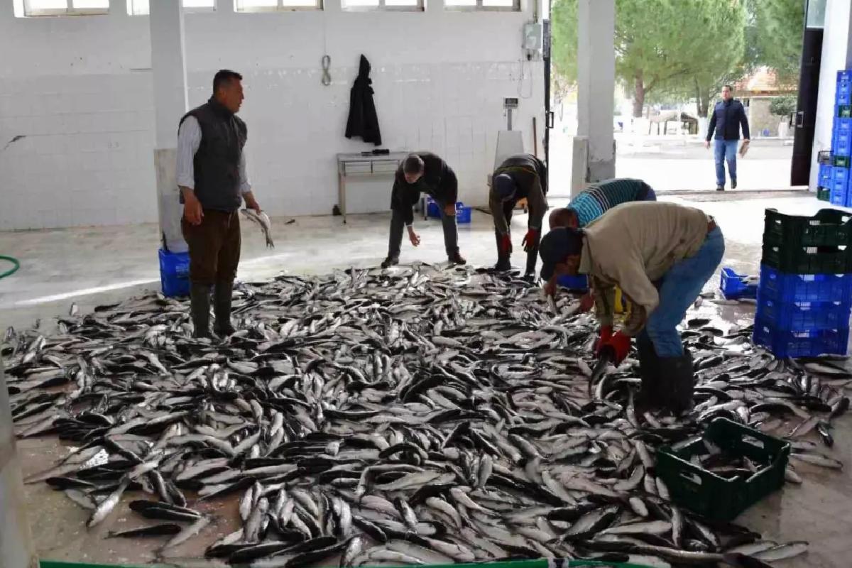 Muğla’nın Nisan İhracatı 95,2 Milyon Dolar