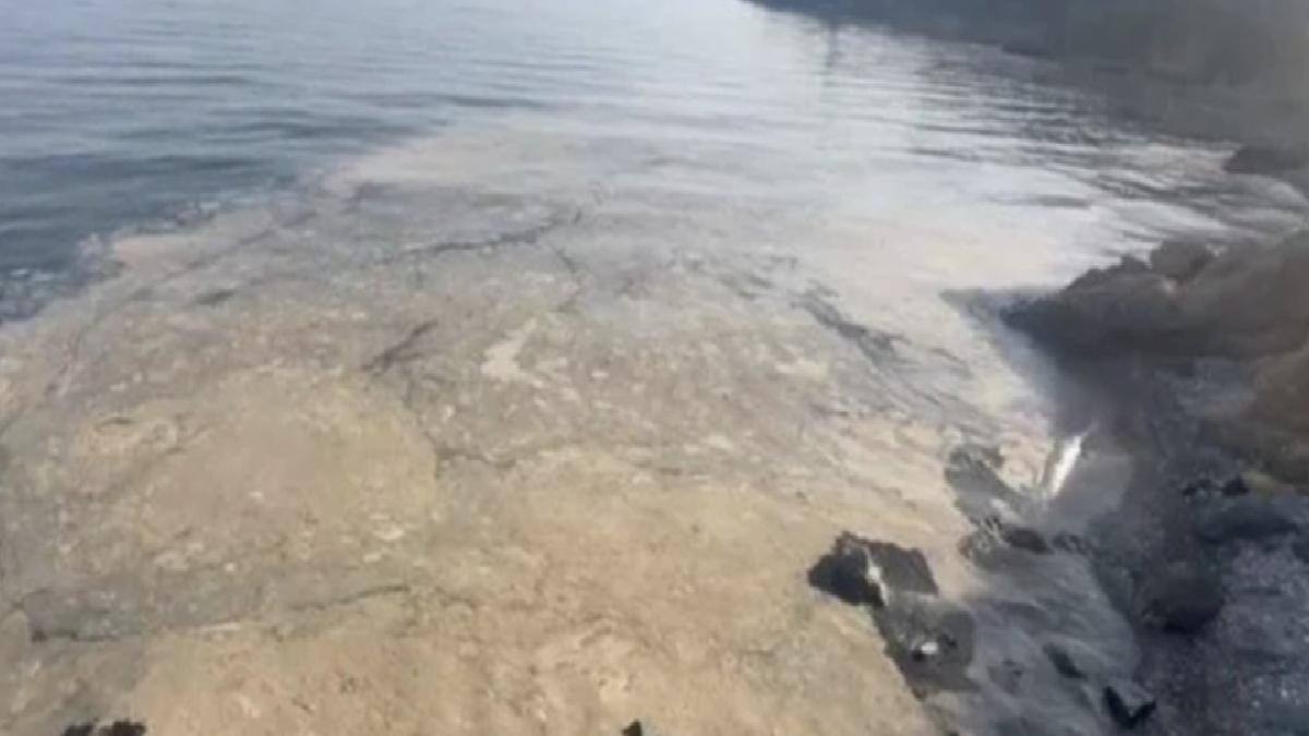 Müsilaj yeniden Gemlik Körfezi’nde
