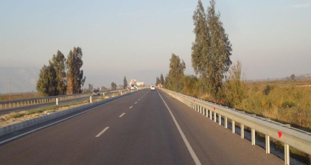 Nesli tükenmekte olan ve koruma altındaki saz kedisi trafiğe kurban gitti