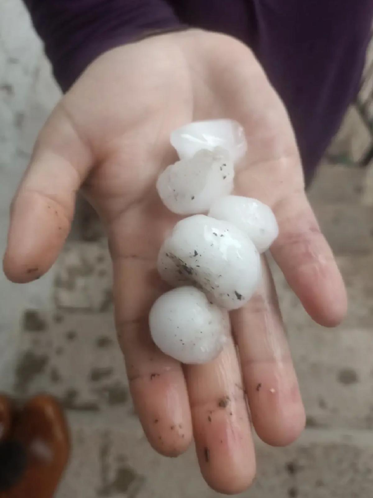 Niksar’da Selde 35 Koyun Telef Oldu