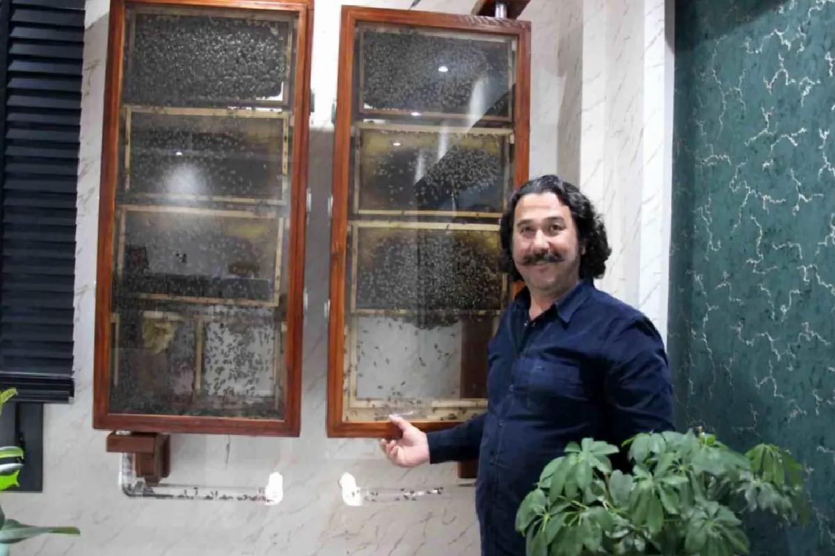 Ofisinde Arı Kovanı Kurdu