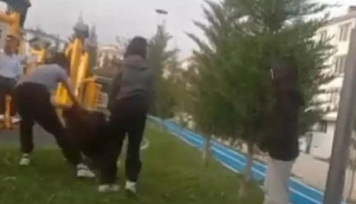 Öğrenci Parkta Darbedildi