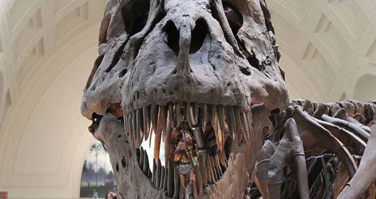 Onları bir meteor öldürmedi! İşte dinozorların gerçek sonu