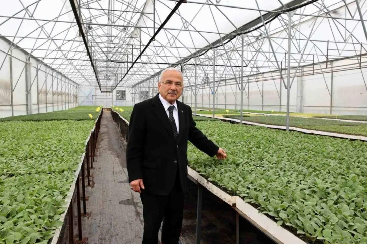 Ordu’da Tarımsal Üretim Hamlesi: 4 Milyon Fide Dağıtıldı