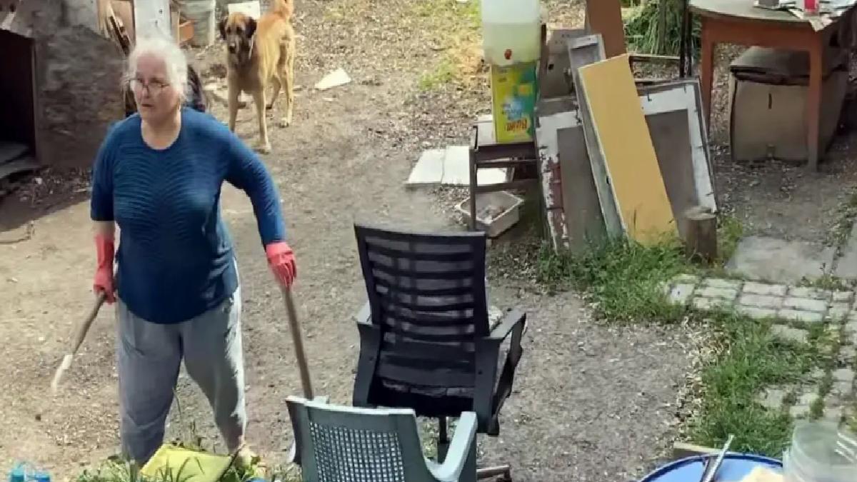 Parkta Top Tartışması