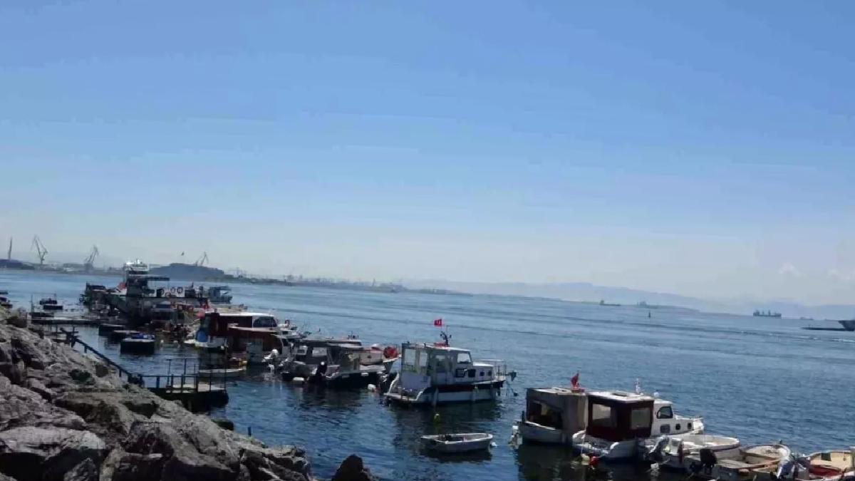 Pendik’te Yavru Köpek Balığı Oltaya Takıldı