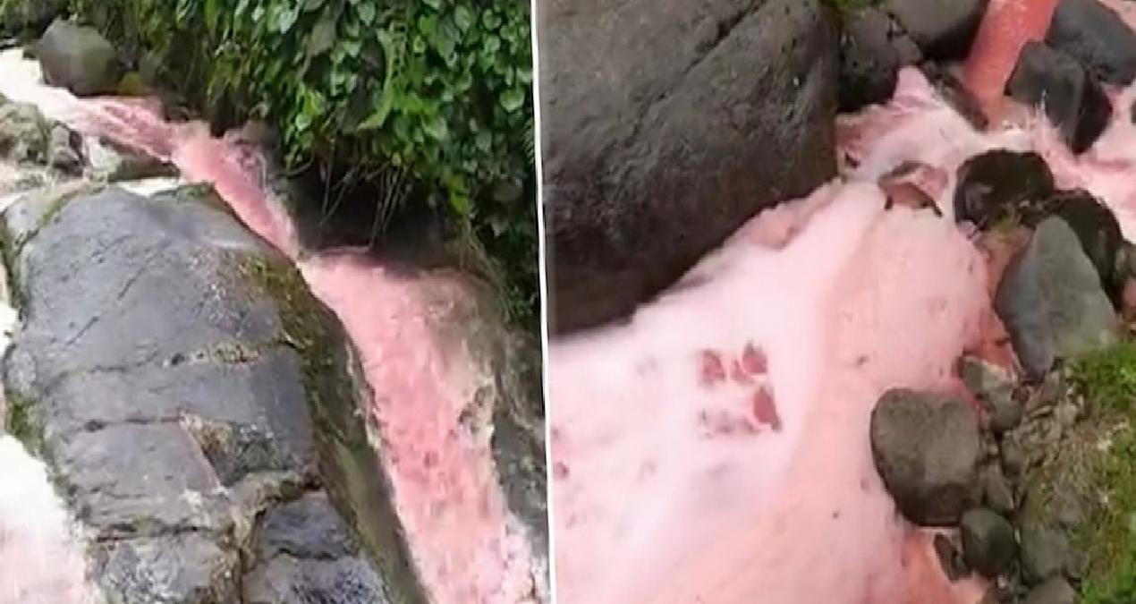 Rize’de derenin rengi kırmızıya döndü, halkı endişelendirdi