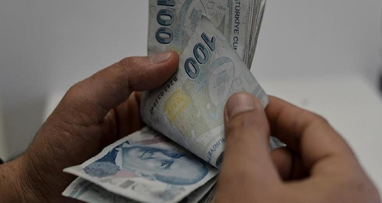 Sadece 10 gün yaşıyor: Koparmanın cezası 557 bin lira
