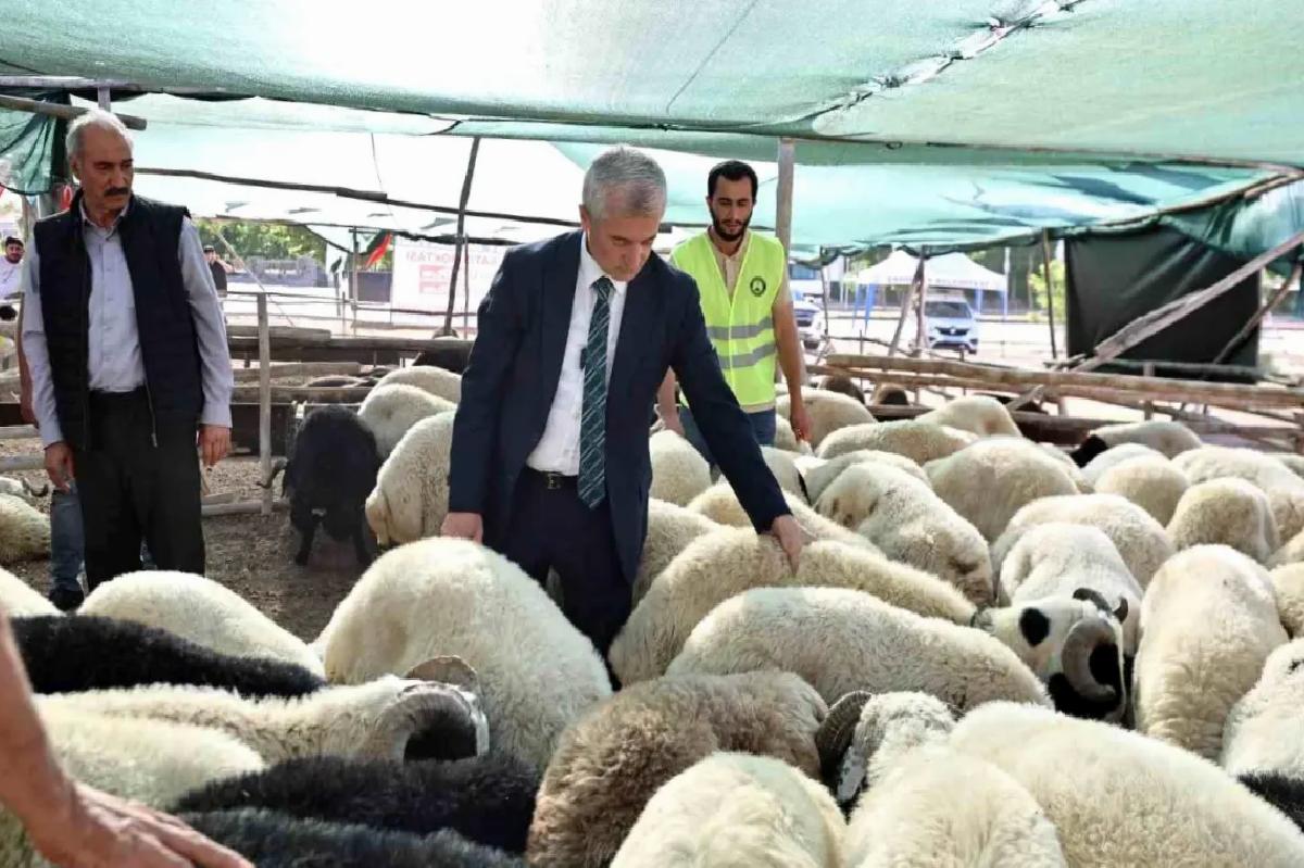 Şahinbey Belediyesi, Kurbanlık Fiyatlarını Düşük Tutacak