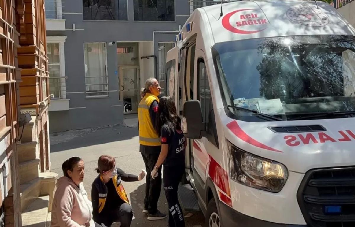 Sahipsiz Köpek Kadını Isırdı