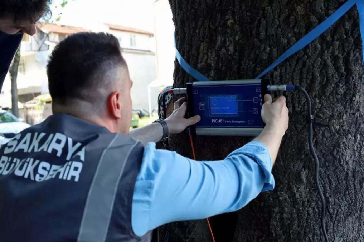 Sakarya, Ağaç Tomografi Cihazı Edindi