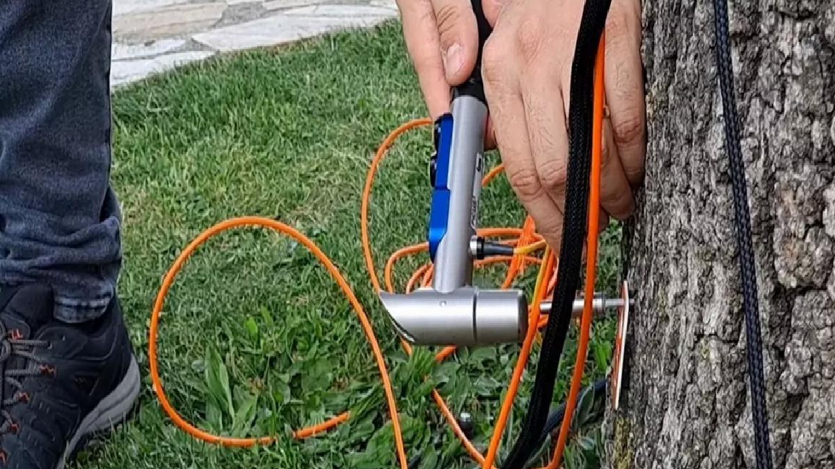 Sakarya’da Ağaç Sağlığı Akustik Tomografi ile İzleniyor