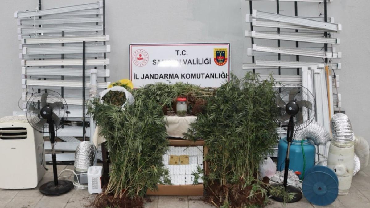 Samsun’da internette izlediği videolarla evini uyuşturucu serasına çevirdi