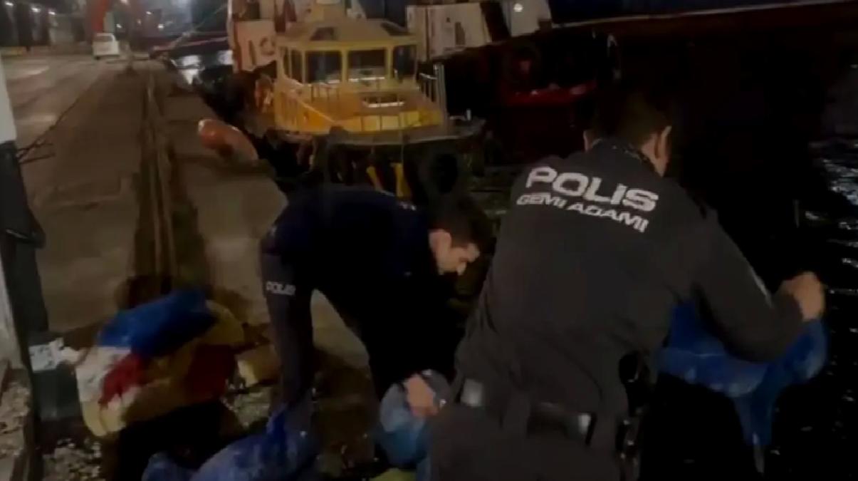 Samsun’da Kaçak Midye Operasyonu