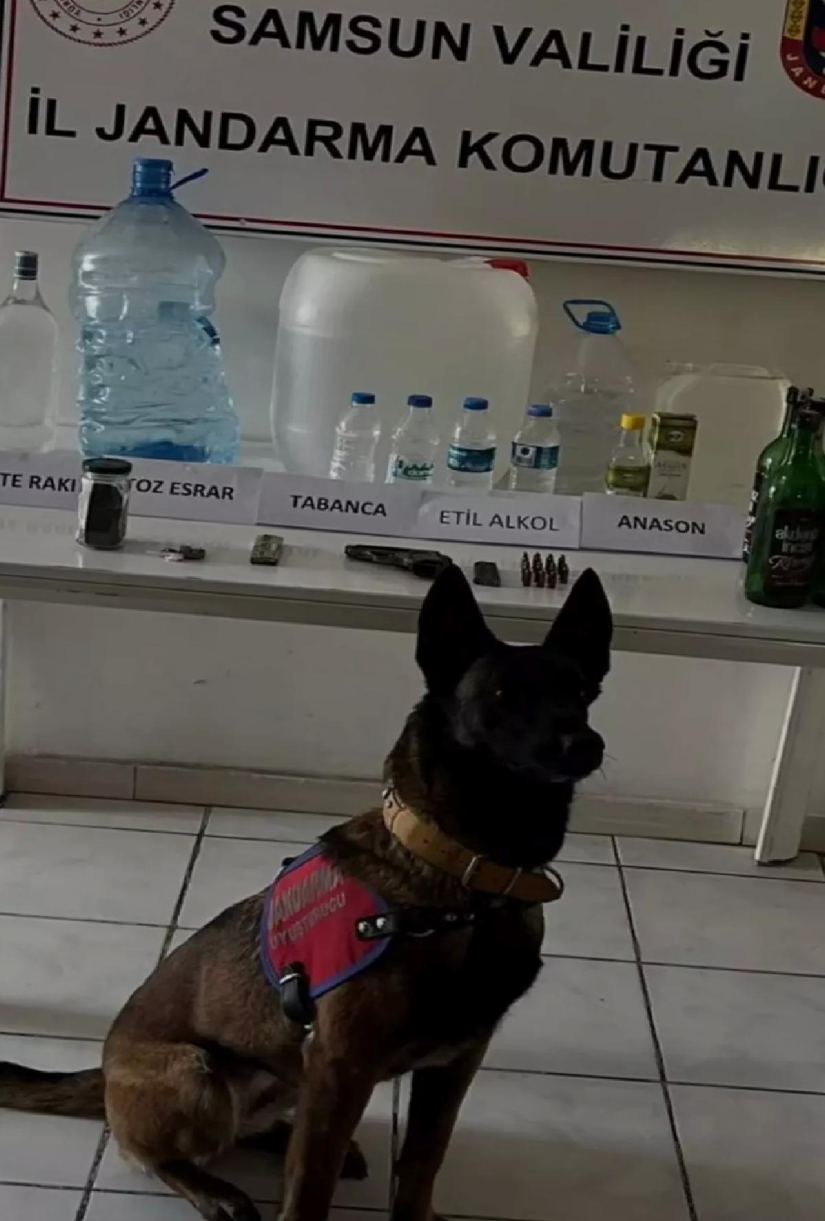 Samsun’da Sahte İçki Operasyonu