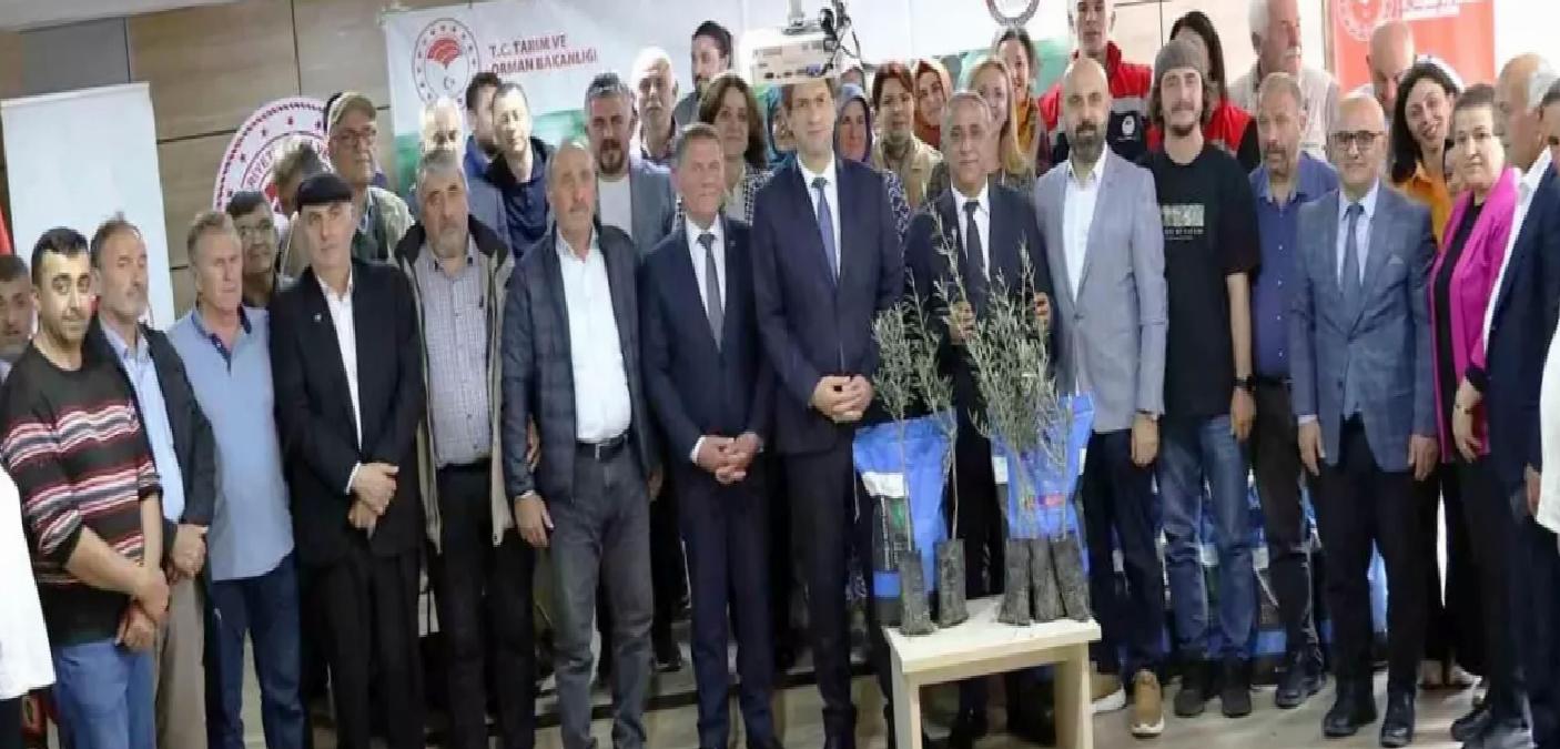 Samsun’da Sorgum Tohumları Dağıtıldı