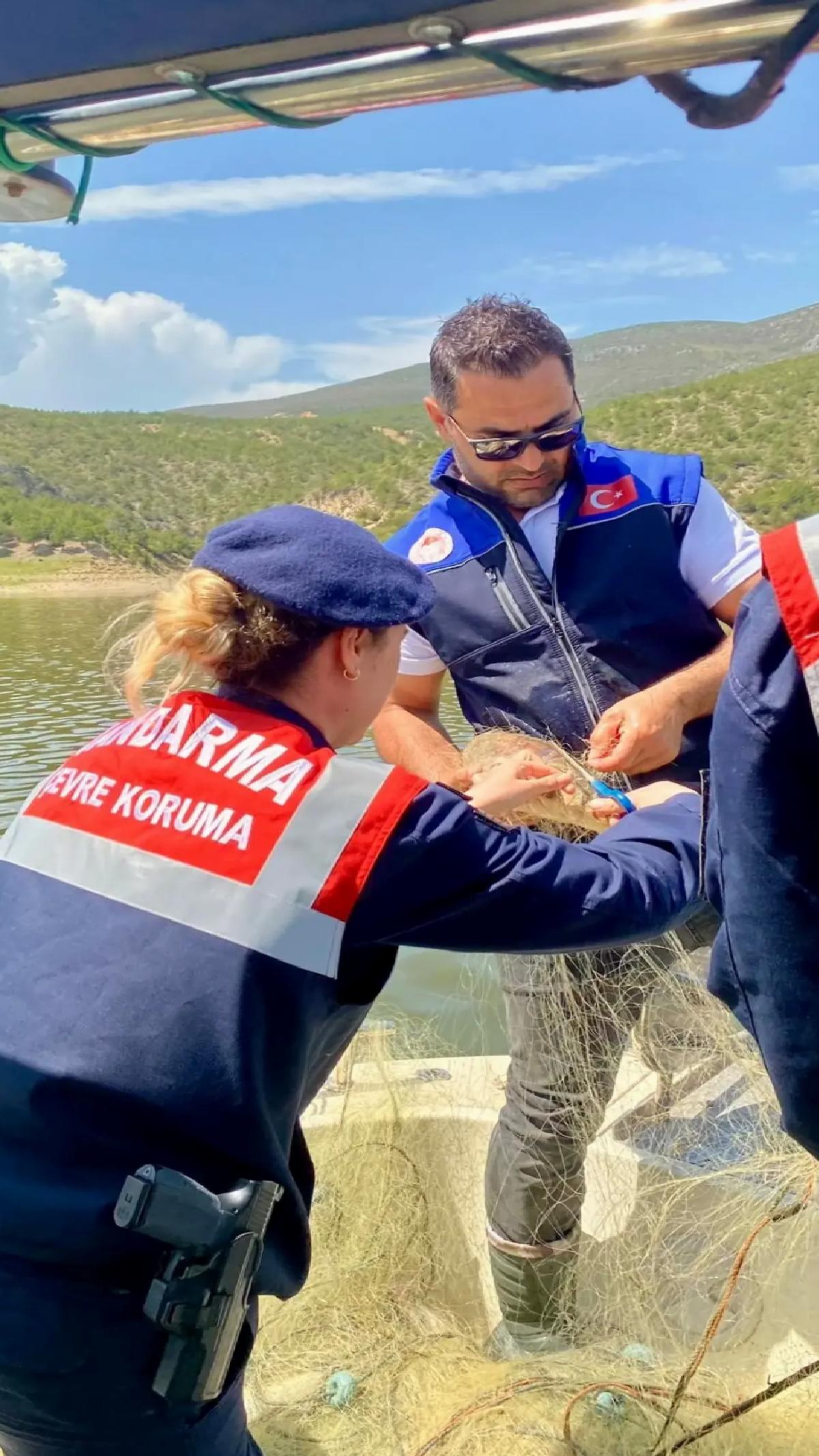 Samsun’da Takılı Balıklar Kurtarıldı
