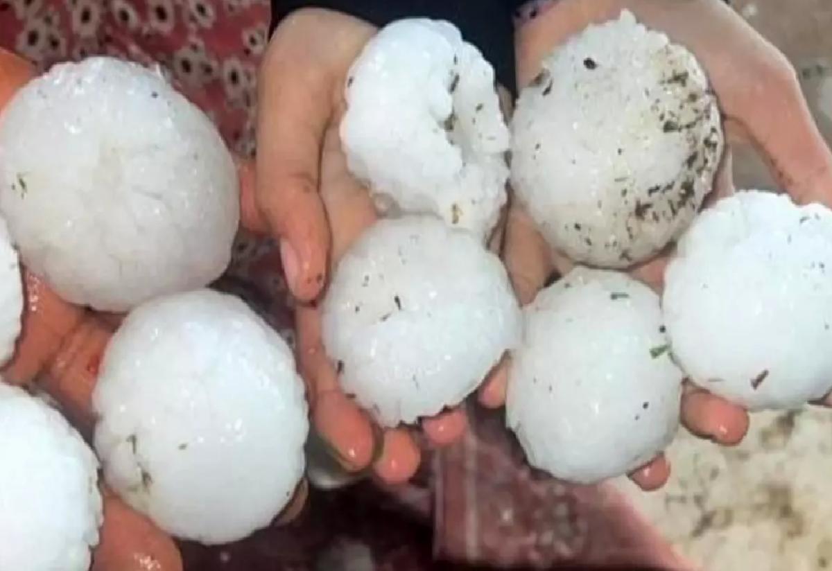 Şanlıurfa’da Dolu Zarar Tespiti