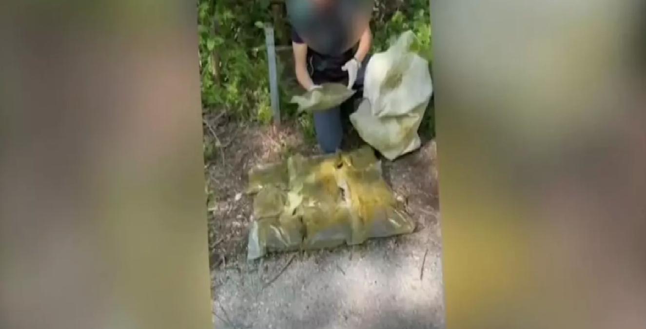 Sapanca’da Uyuşturucu Operasyonu: 4 Gözaltı