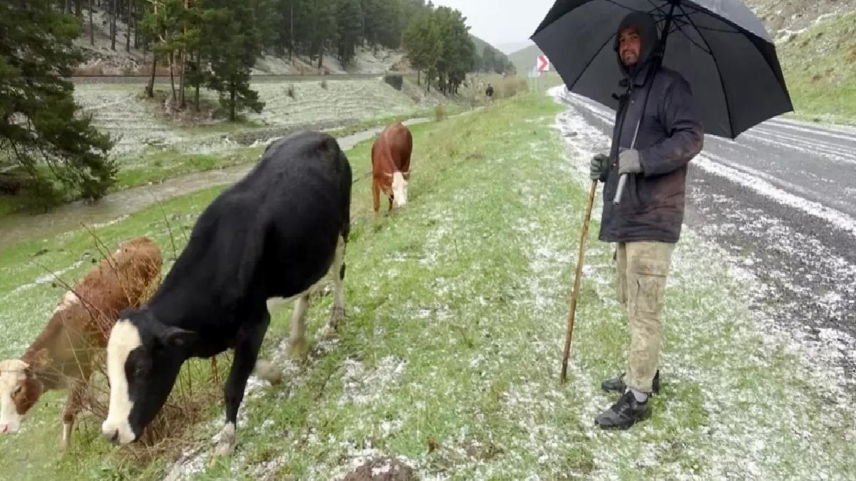 Sarıkamış’ta Dolu Etkili Oldu