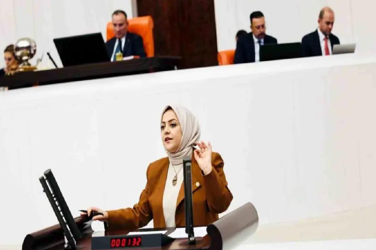 Sema Silkin Ün: Bütçe Açığı İstihdam Sorunu