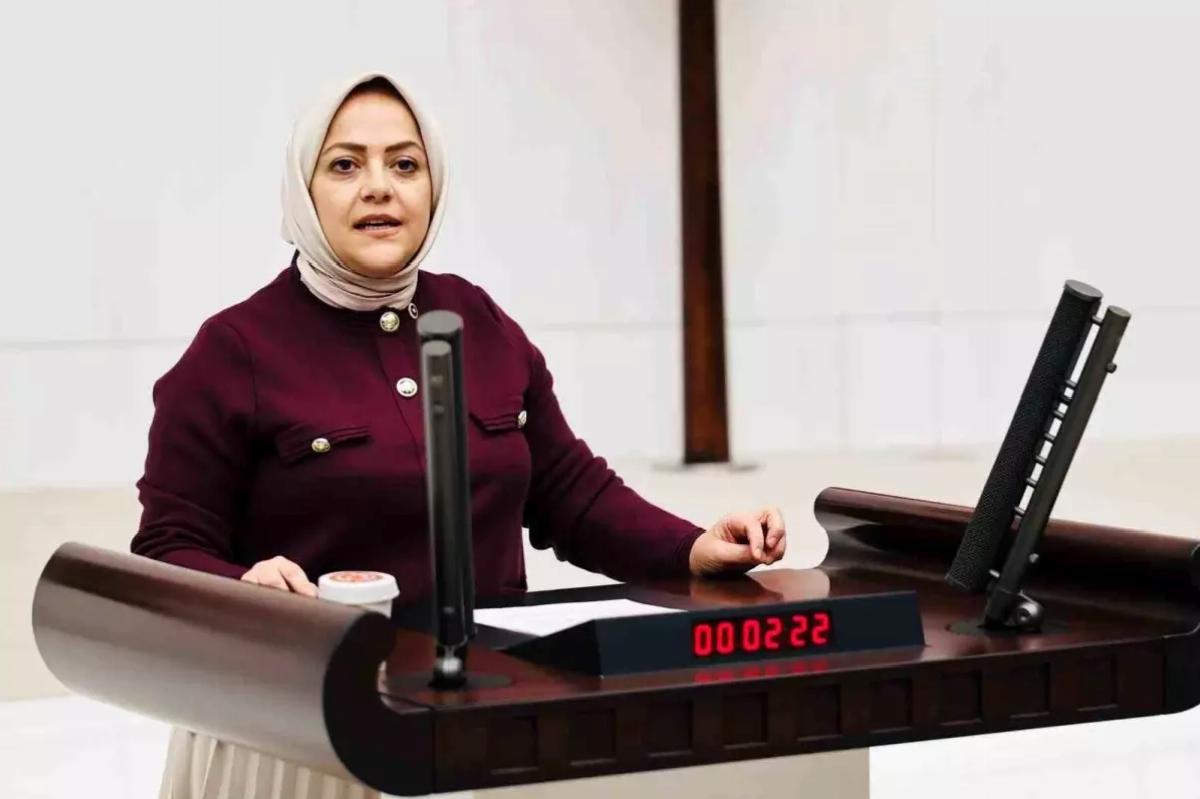 Sema Silkin Ün, Özgür Özel’e Yapılan Saldırıyı Kınadı