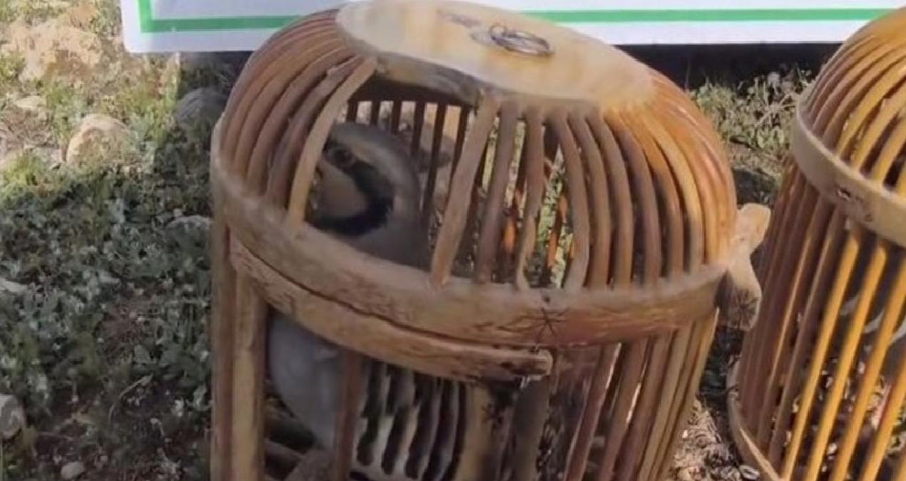 Siirt’te keklik avına 63 bin lira ceza