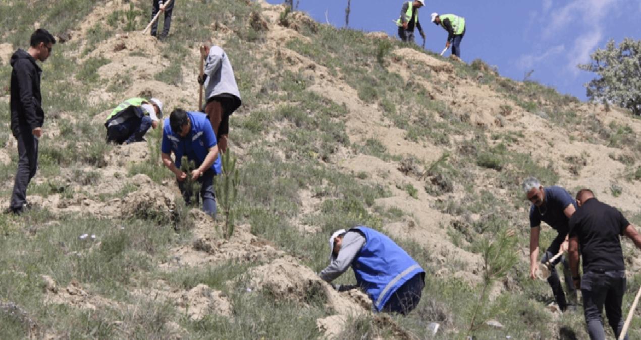 Sivas’ta bu yıl hayatını kaybeden 535 kişi anısına fidan dikildi