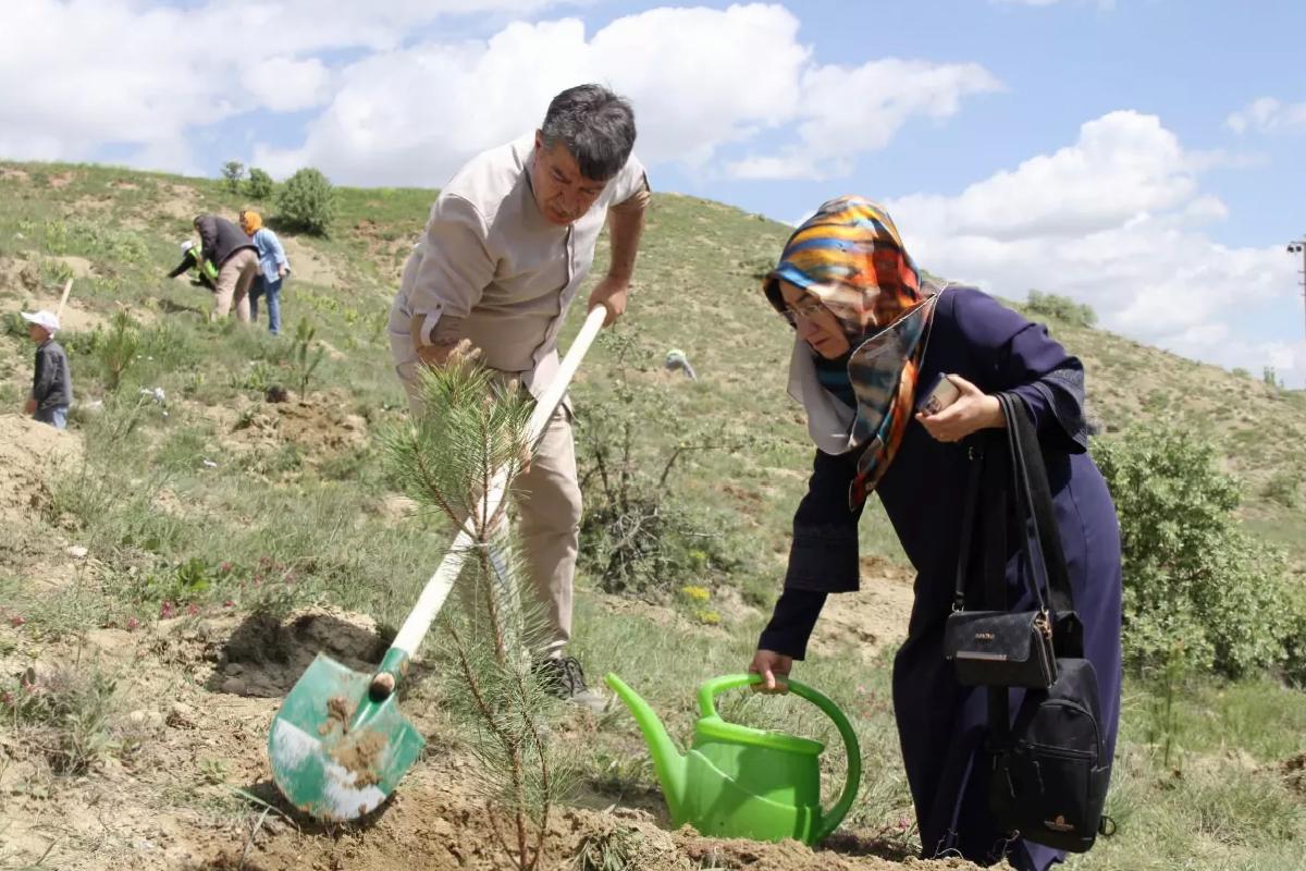 Sivas’ta ‘Vefa Ormanı’na 535 kişinin anısına fidan dikildi