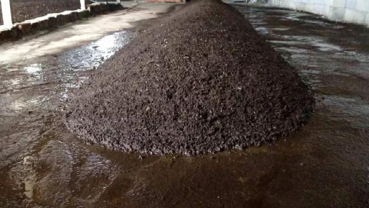 Sıvı Solucan Gübreleriyle Verim Artışı