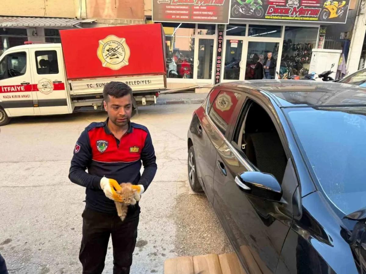 Sungurlu’da Yavru Kedi Motor Kısmından Kurtarıldı