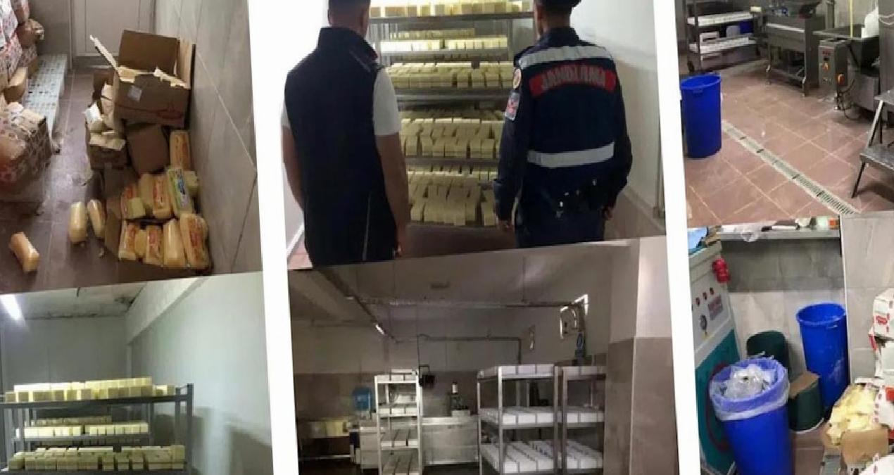 Tarihi geçmiş ürünlerden 5 ton peynir yaptılar