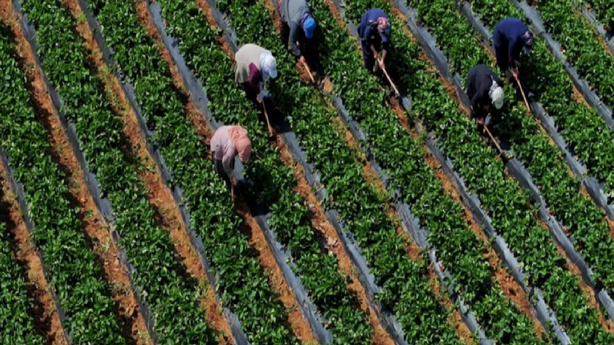Tarımsal girdi fiyat endeksi martta artışına devam etti