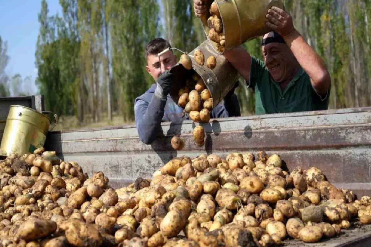 Tarımsal Girdi Fiyatları Yükseliyor
