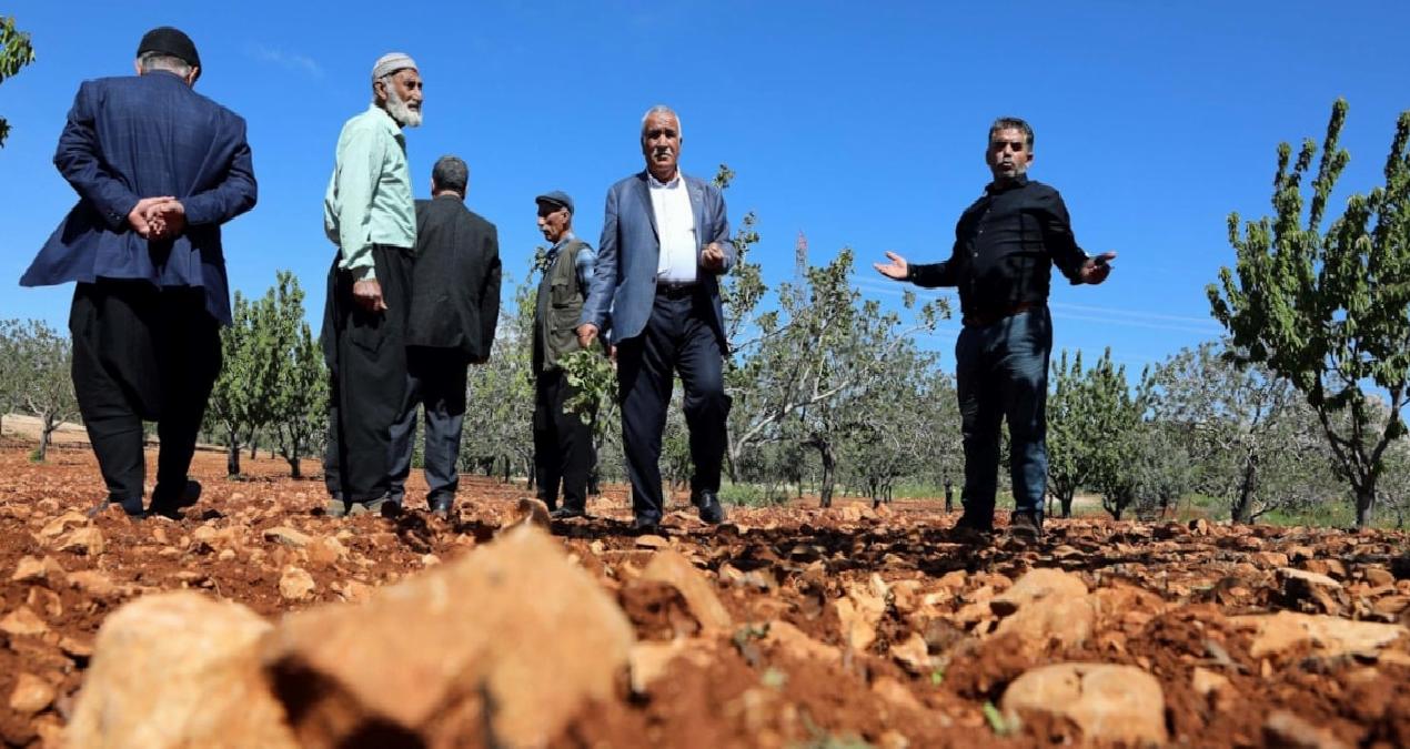 Tarlaya giren çiftçi eyvah dedi: 3 yıl boyunca hasat yapamayacaklar