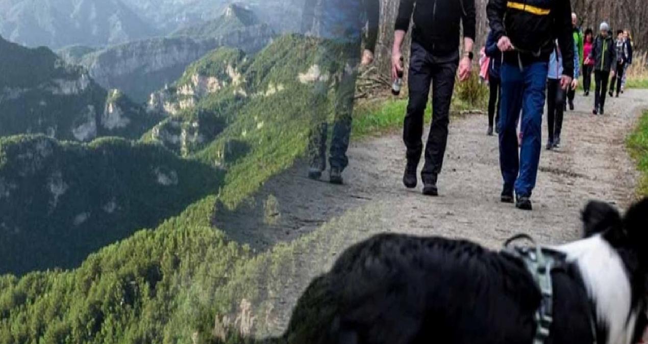 Tehlike pusuda bekliyor! Almanya’da distemper virüsü yayılıyor: Çoğu kurtarılamayacak!