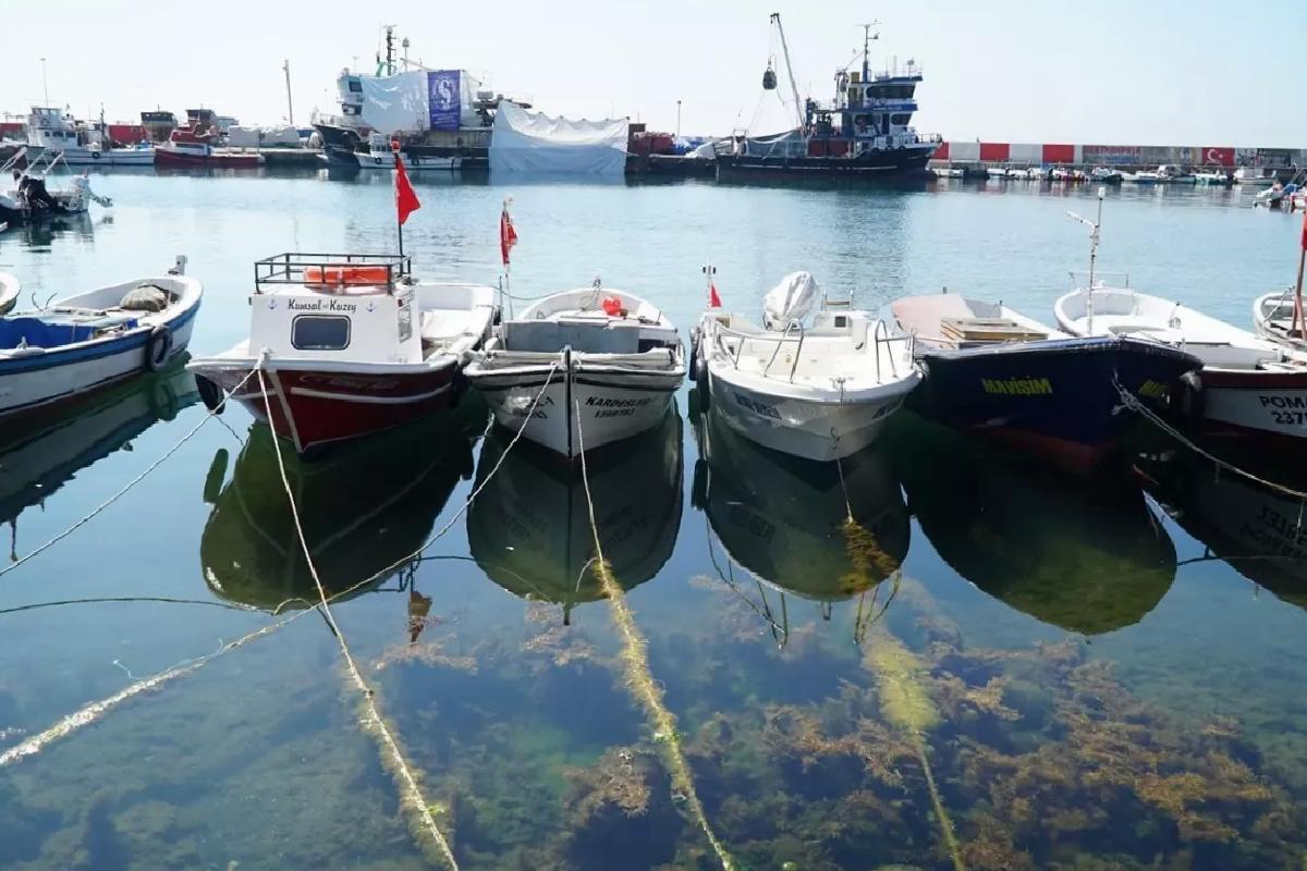 Tekirdağ’da Balıkçılar Denize Açıldı