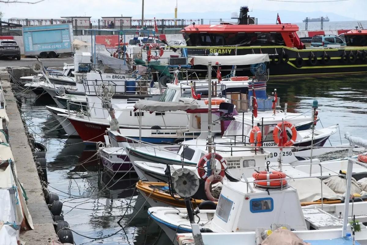 Tekirdağ’da Taze Balık Avı Devam Ediyor