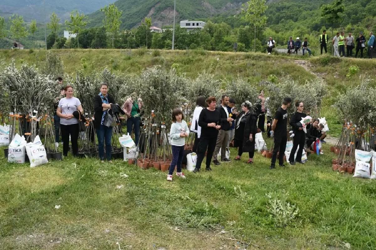 TİKA’dan Arnavutlara Zeytin Fidanı Desteği