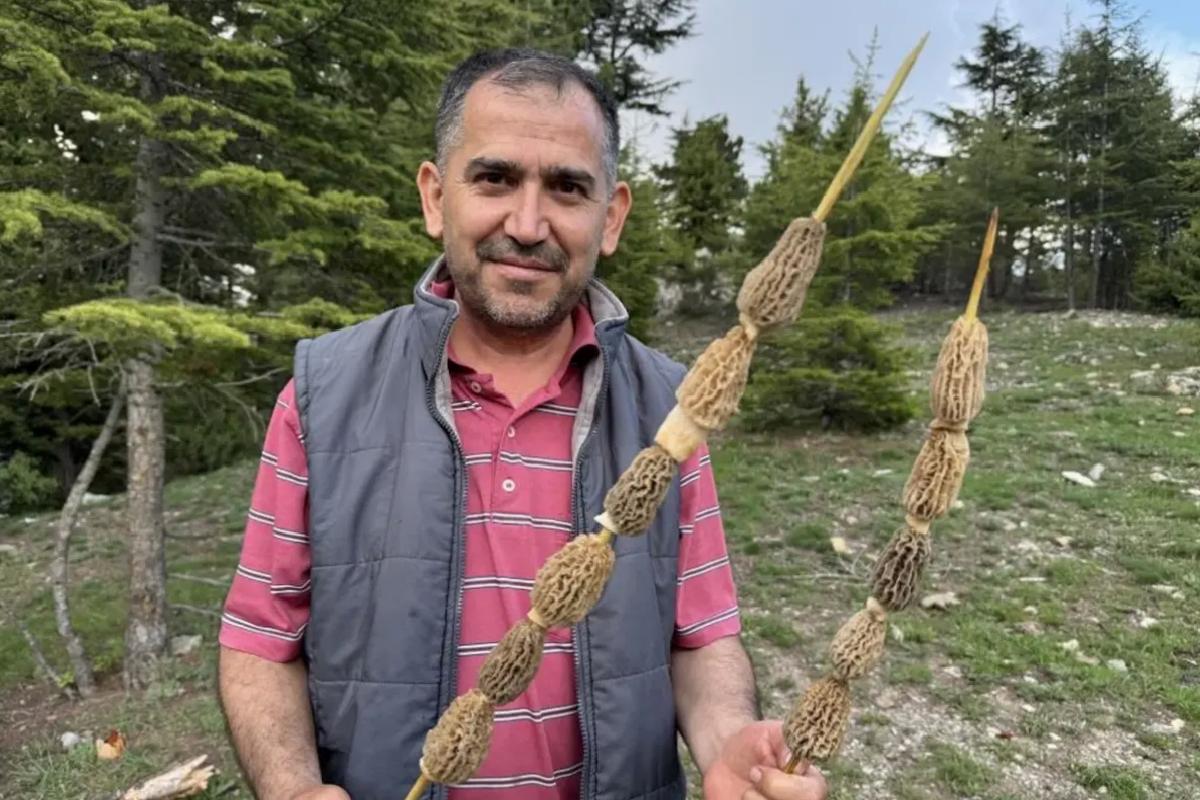 Toplaması tutku, kilosu 900 lira! Altın bulan bu kadar sevinmiyor