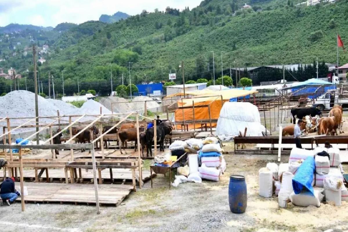 Trabzon’da Kurban Bayramı İçin Hazırlıklar Tamamlandı