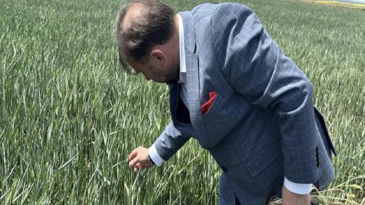 Trakya’da Kuraklık Tehlikesi