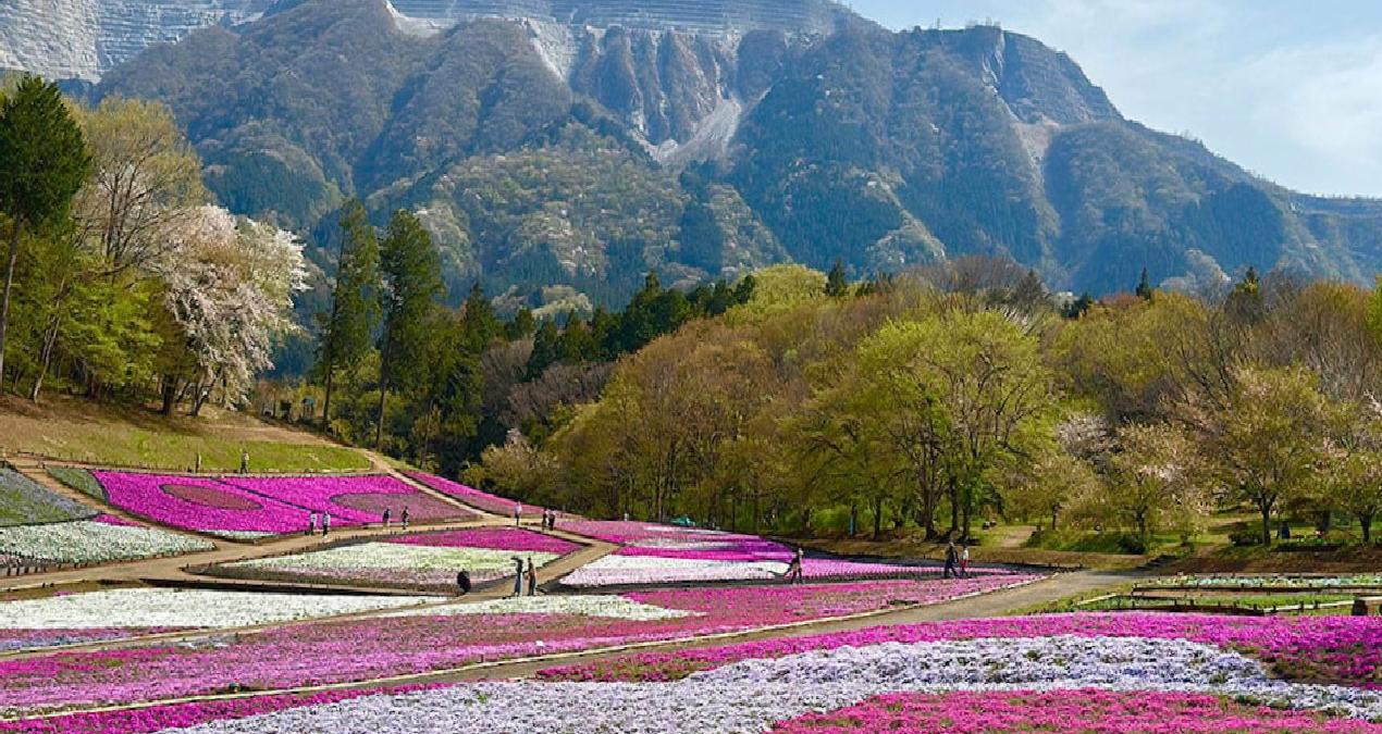 Turistler için dünyanın en iyi ülkesi belli oldu