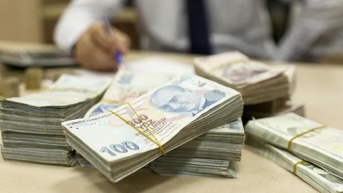 Türk Lirası’nı destekleyecek yeni adımlar