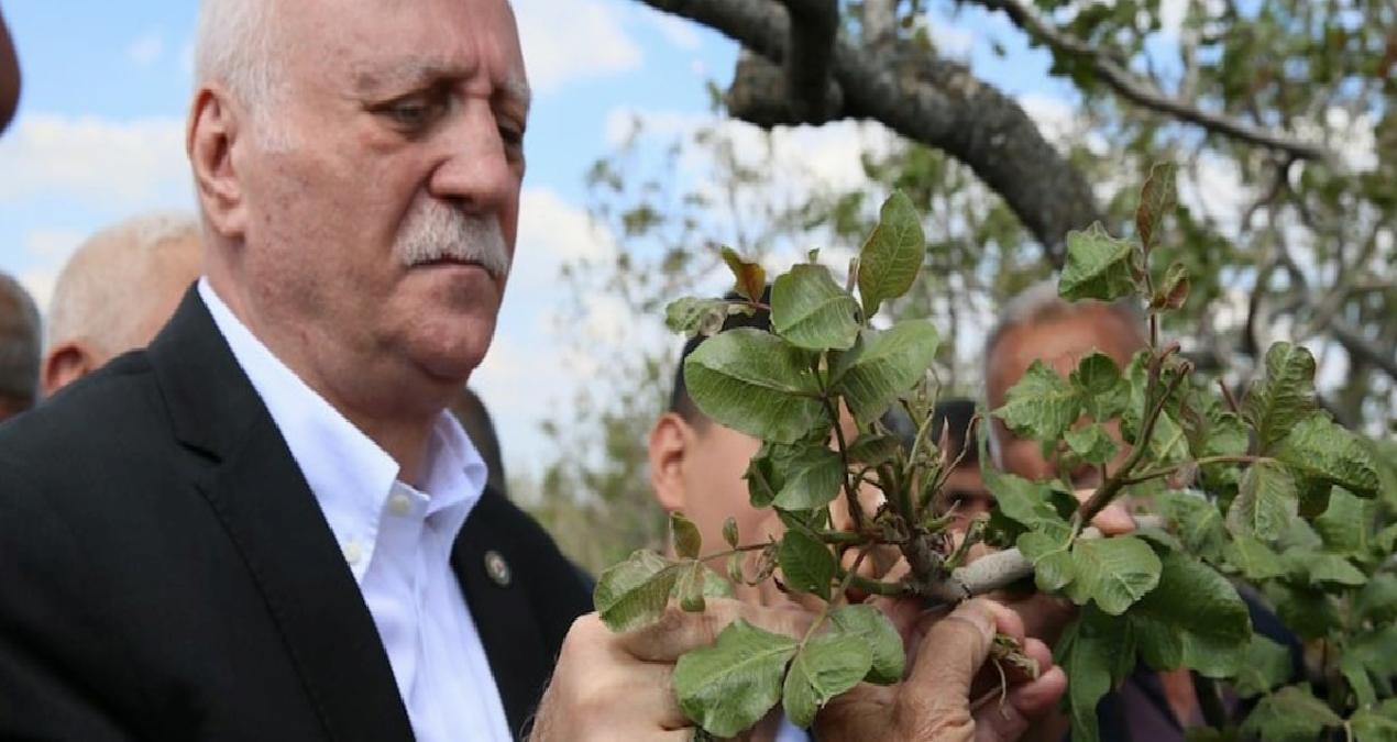 TZOB Genel Başkanı, zirai dondan etkilenen meyve bahçelerini inceledi