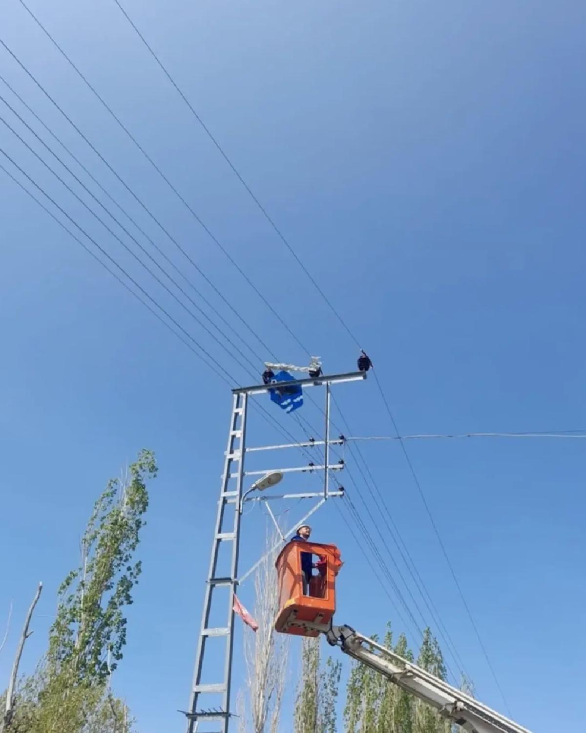 Uçurtmalar Tellere Takıldı